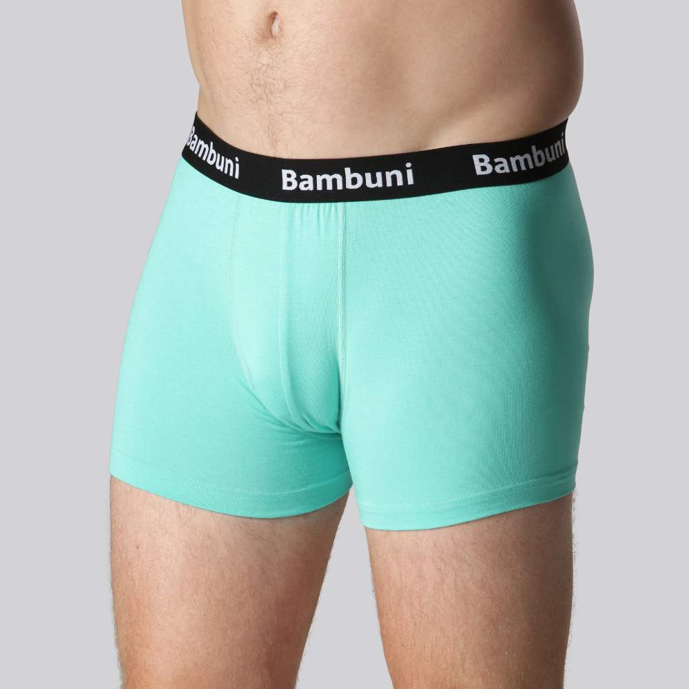 Bambus underbukser mint til mænd Bambuni Denmark