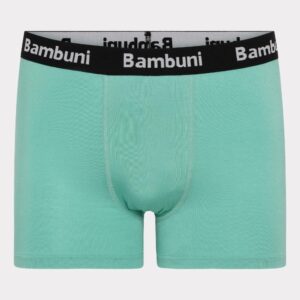 Bambus underbukser i mint til mænd