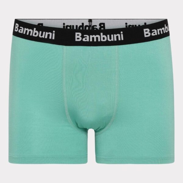 Bambus underbukser i mint til mænd