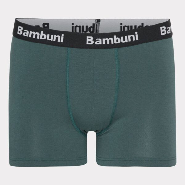 Bambus underbukser i grøn til mænd