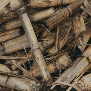 Hvad er bambus viskose egentligt? Vi dykker ned i bambusviskose i denne artikel